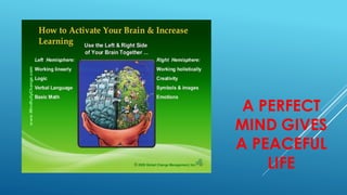 A PERFECT
MIND GIVES
A PEACEFUL
LIFE
 