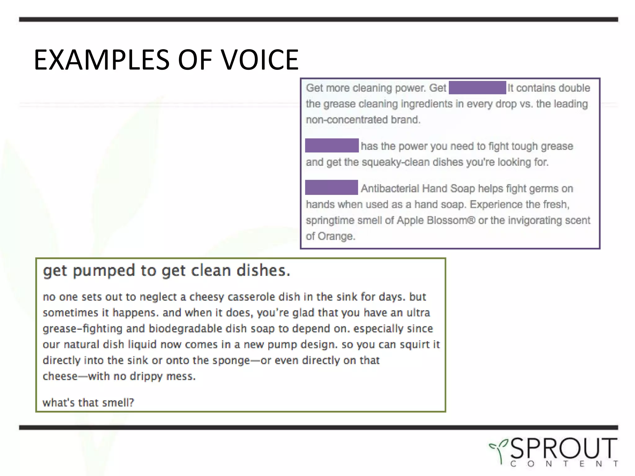EXAMPLES OF VOICE 