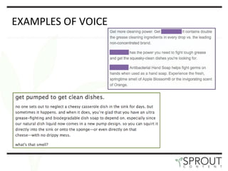 EXAMPLES OF VOICE