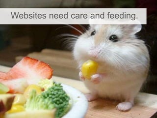 Websites need care and feeding.
 