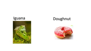 Iguana Doughnut
 