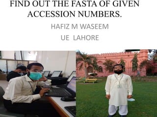 FIND OUT THE FASTA OF GIVEN
ACCESSION NUMBERS.
HAFIZ M WASEEM
UE LAHORE
 