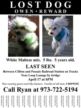 Lost Maltese Mix
Ryan 973.722.5194

  Lost Maltese Mix
Ryan 973.722.5194

  Lost Maltese Mix
Ryan 973.722.5194

  Lost Maltese Mix
Ryan 973.722.5194

  Lost Maltese Mix
Ryan 973.722.5194

  Lost Maltese Mix
Ryan 973.722.5194
                                                                                                                                                                                                                                                       OWEN



  Lost Maltese Mix
Ryan 973.722.5194

  Lost Maltese Mix
Ryan 973.722.5194

  Lost Maltese Mix
Ryan 973.722.5194

  Lost Maltese Mix
Ryan 973.722.5194




                                                                                                                       April 17 at 6PM
                                                                                                                                                                                                  LAST SEEN
  Lost Maltese Mix
Ryan 973.722.5194




                                                                                                                                                      Near Loop Lounge by bridge
  Lost Maltese Mix
Ryan 973.722.5194
                                                                                                                                                                                                                                                       R E WAR D




  Lost Maltese Mix
Ryan 973.722.5194
                                                                                                                                                                                                                                                               LOST DOG




  Lost Maltese Mix
Ryan 973.722.5194
                                                                                                                                                                                                              White Maltese mix. 5 lbs. 5 years old.




                     Call Ryan at 973-722-5194
                                                                                                                                         Between Clifton and Passaic Railroad Station on Tracks
  Lost Maltese Mix



                                                 Was wearing green scarf-like harness. Fearful of tall men. CHIPPED!
Ryan 973.722.5194
 