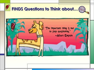 FINDS Questions to Think about… 
