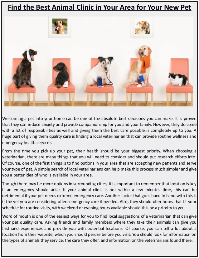 best pet clinic
