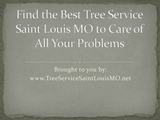 Brought to you by:
www.TreeServiceSaintLouisMO.net
 