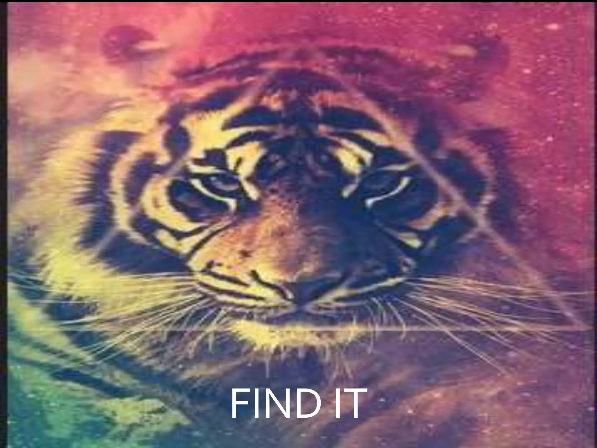 FIND IT