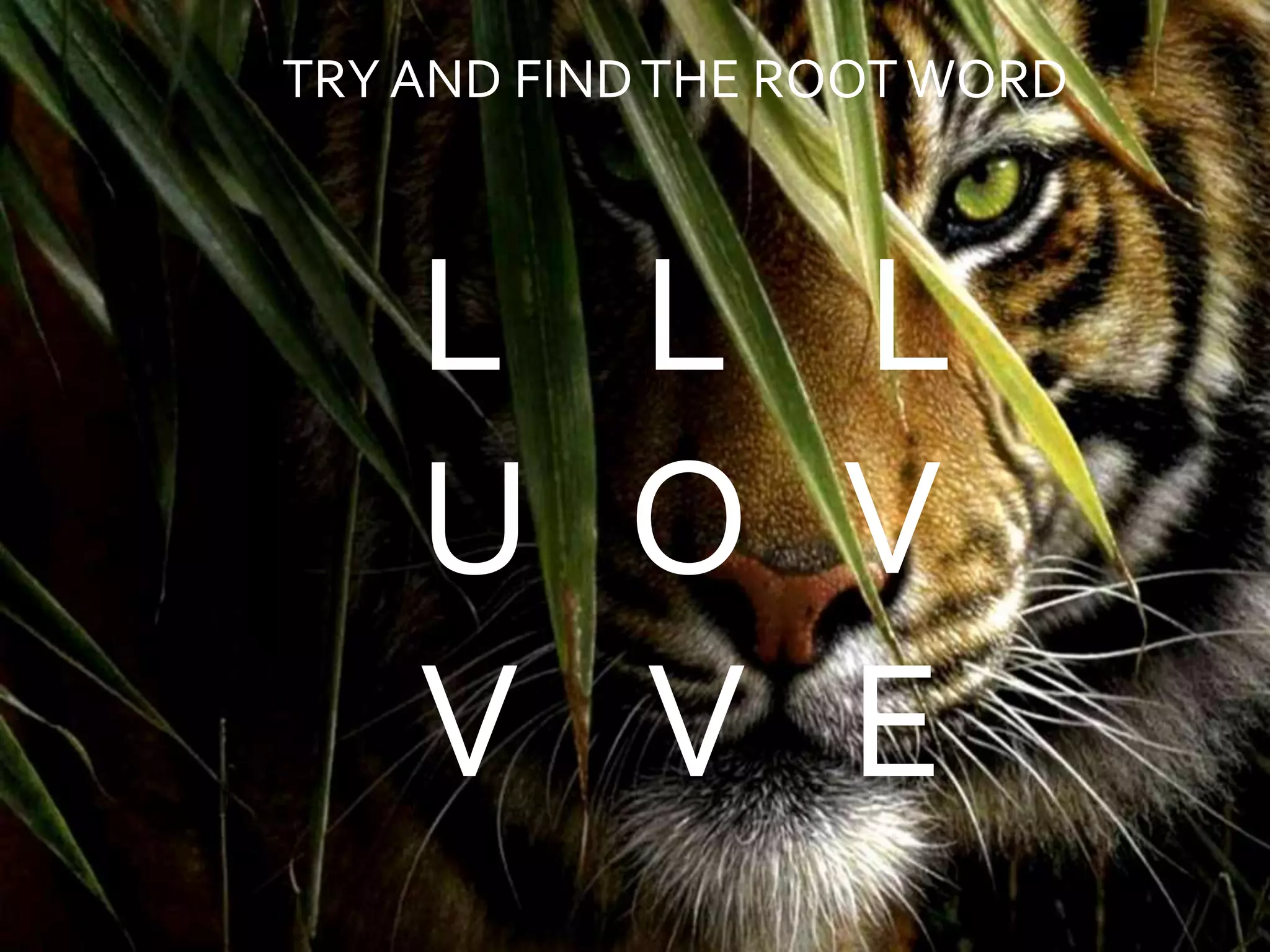 TRY AND FINDTHE ROOTWORD
L L L
U O V
V V E