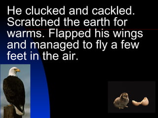 He clucked and cackled. Scratched the earth for warms. Flapped his wings and managed to fly a few feet in the air.