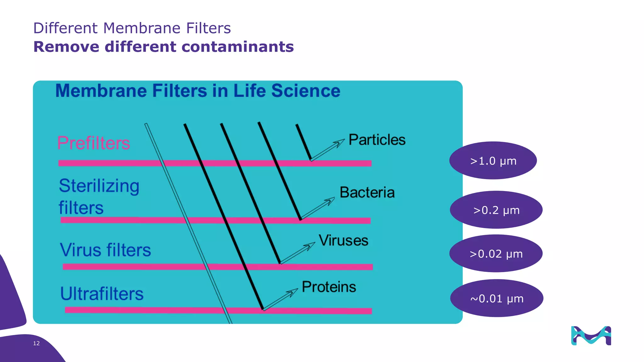 Different Membrane Filters
Remove different contaminants
~0.01 µm
>0.02 µm
>0.2 µm
>1.0 µm
12
 