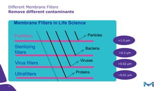 Filterable Virus Find your filter. What’s best for your process? | PDF