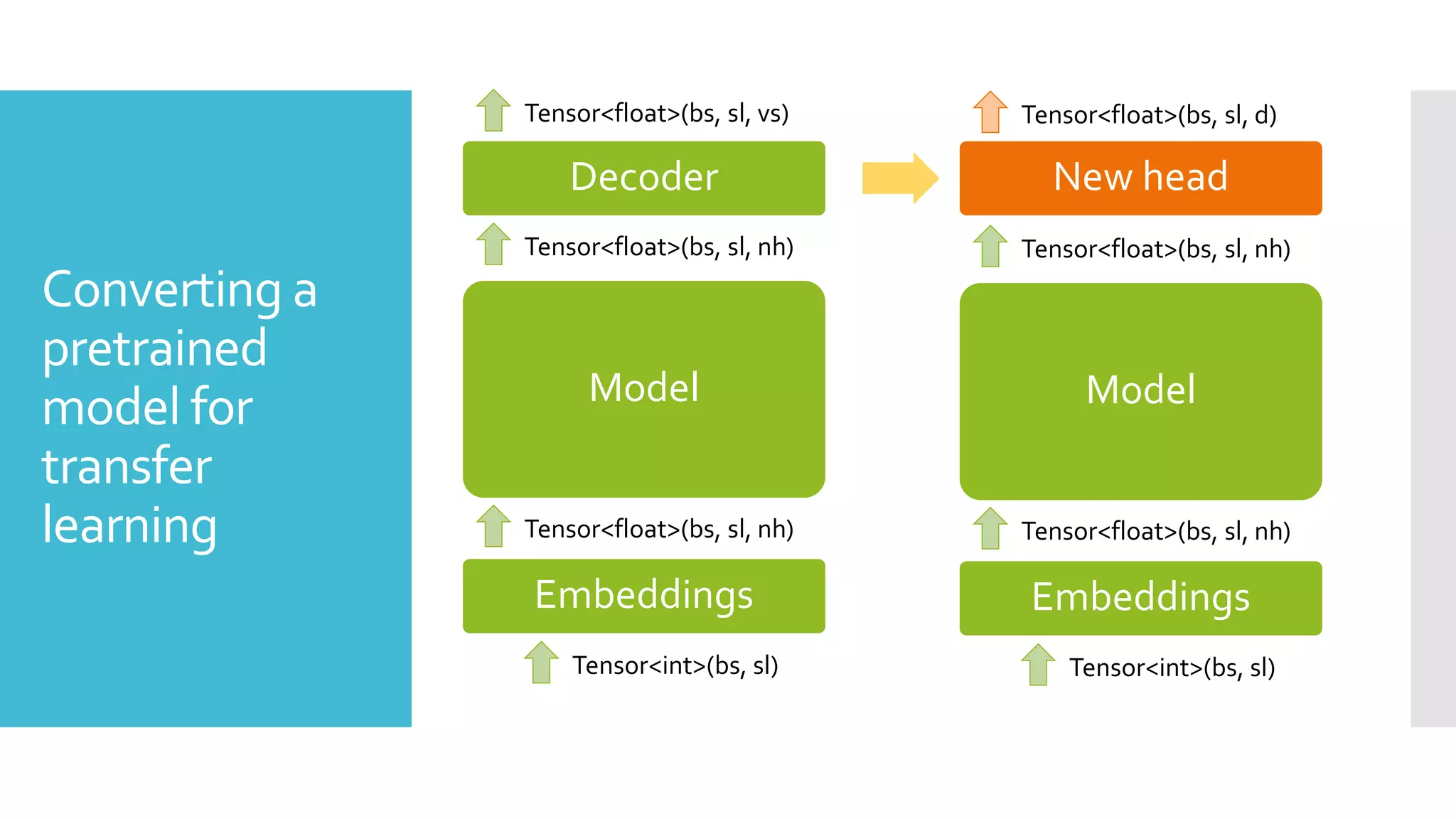 Converting a
pretrained
model for
transfer
learning
Embeddings
Model
Decoder
Tensor<float>(bs, sl, nh)
Tensor<float>(bs, sl, vs)
Tensor<float>(bs, sl, nh)
Tensor<int>(bs, sl)
Embeddings
Model
New head
Tensor<float>(bs, sl, nh)
Tensor<float>(bs, sl, d)
Tensor<float>(bs, sl, nh)
Tensor<int>(bs, sl)
 