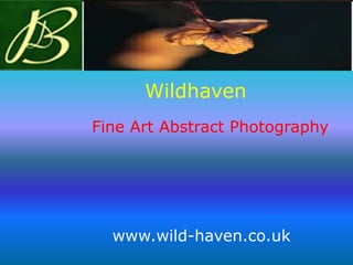 Wildhaven
Fine Art Abstract Photography
www.wild-haven.co.uk
 
