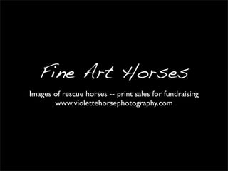 Fine Art Horses
Images of rescue horses -- print sales for fundraising
www.violettehorsephotography.com
 