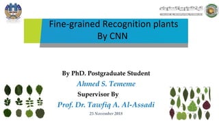 Fine-grained Recognition plants
By CNN
By PhD. Postgraduate Student
Ahmed S. Tememe
Supervisor By
Prof. Dr. Tawfiq A. Al-Assadi
25 November 2018
1
 