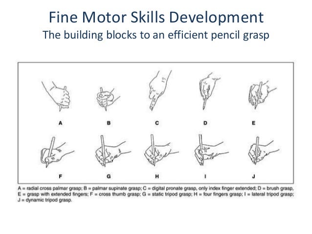 Which Fine Motor Skills are Important for Handwriting?