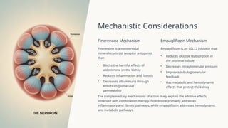 Finerenone and Empagliflozin Combination Therapy in CKD and Type 2 ...