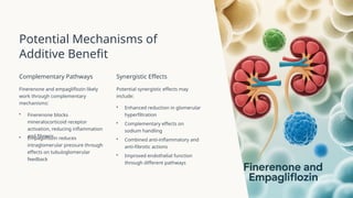 Finerenone and Empagliflozin Combination Therapy in CKD and Type 2 ...