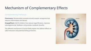 Combination Therapy with Finerenone and Empagliflozin in CKD and Type 2 ...