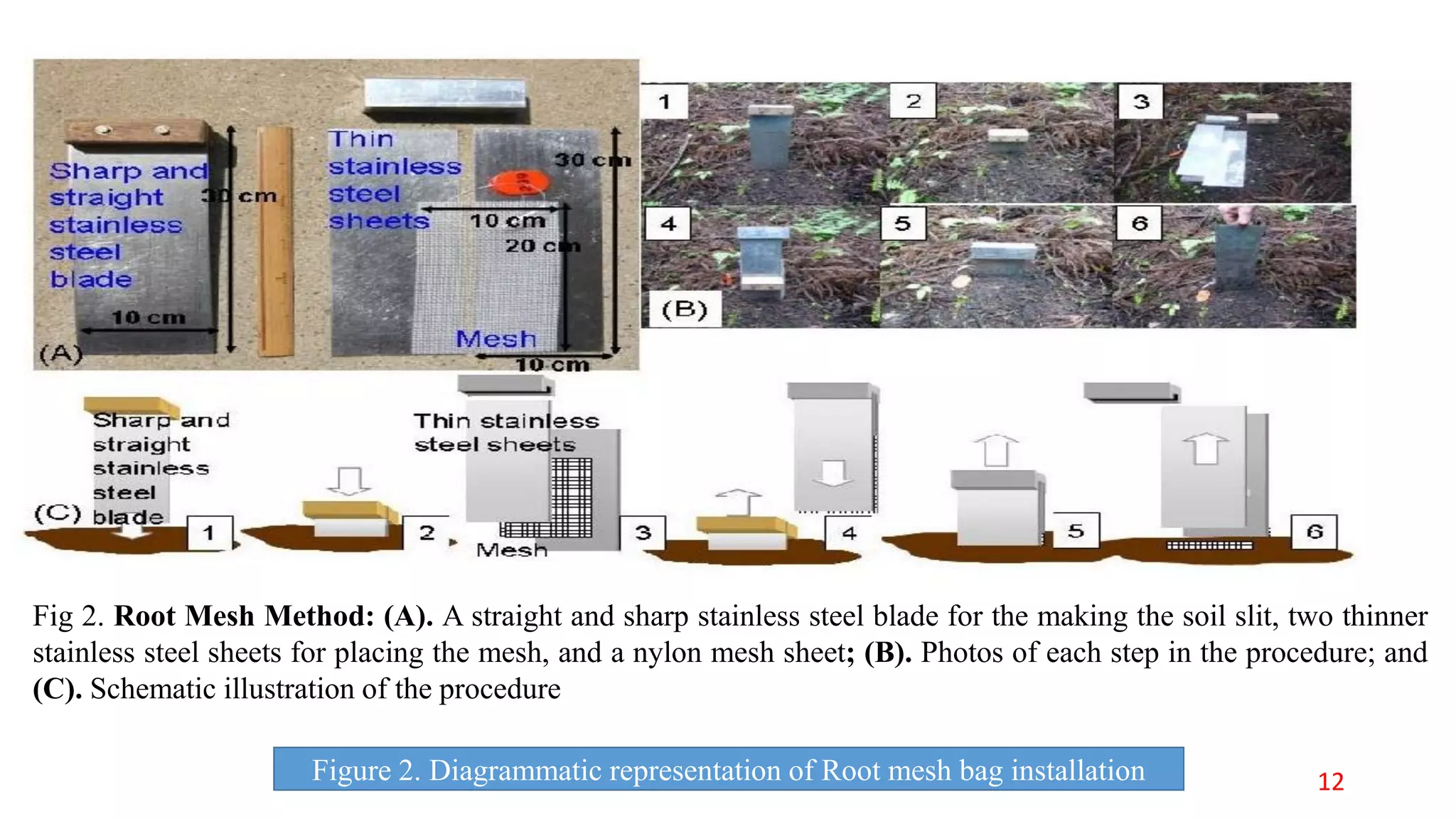 Fig 2. Root Mesh Method: (A). A straight and sharp stainless steel blade for the making the soil slit, two thinner
stainless steel sheets for placing the mesh, and a nylon mesh sheet; (B). Photos of each step in the procedure; and
(C). Schematic illustration of the procedure
Figure 2. Diagrammatic representation of Root mesh bag installation 12
 