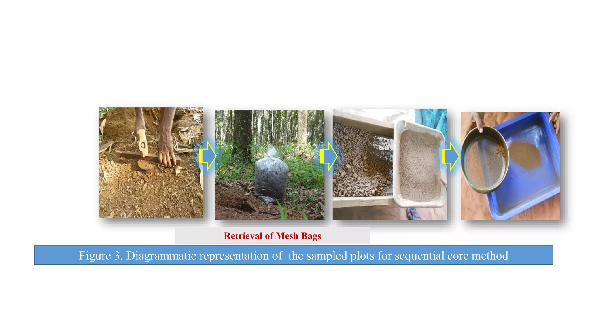 Figure 3. Diagrammatic representation of the sampled plots for sequential core method
Retrieval of Mesh Bags
 