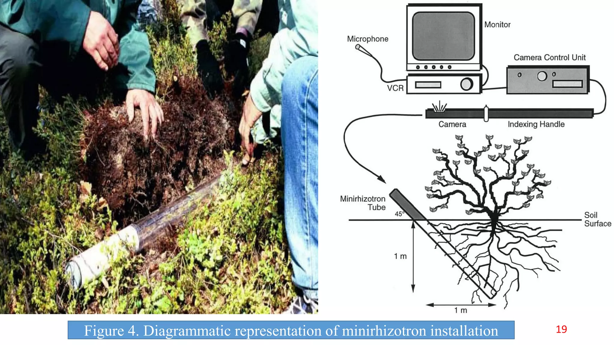 Figure 4. Diagrammatic representation of minirhizotron installation 19
 