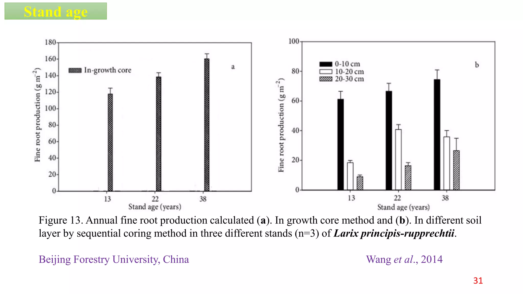 Figure 13. Annual fine root production calculated (a). In growth core method and (b). In different soil
layer by sequential coring method in three different stands (n=3) of Larix principis-rupprechtii.
Beijing Forestry University, China Wang et al., 2014
Stand age
31
 