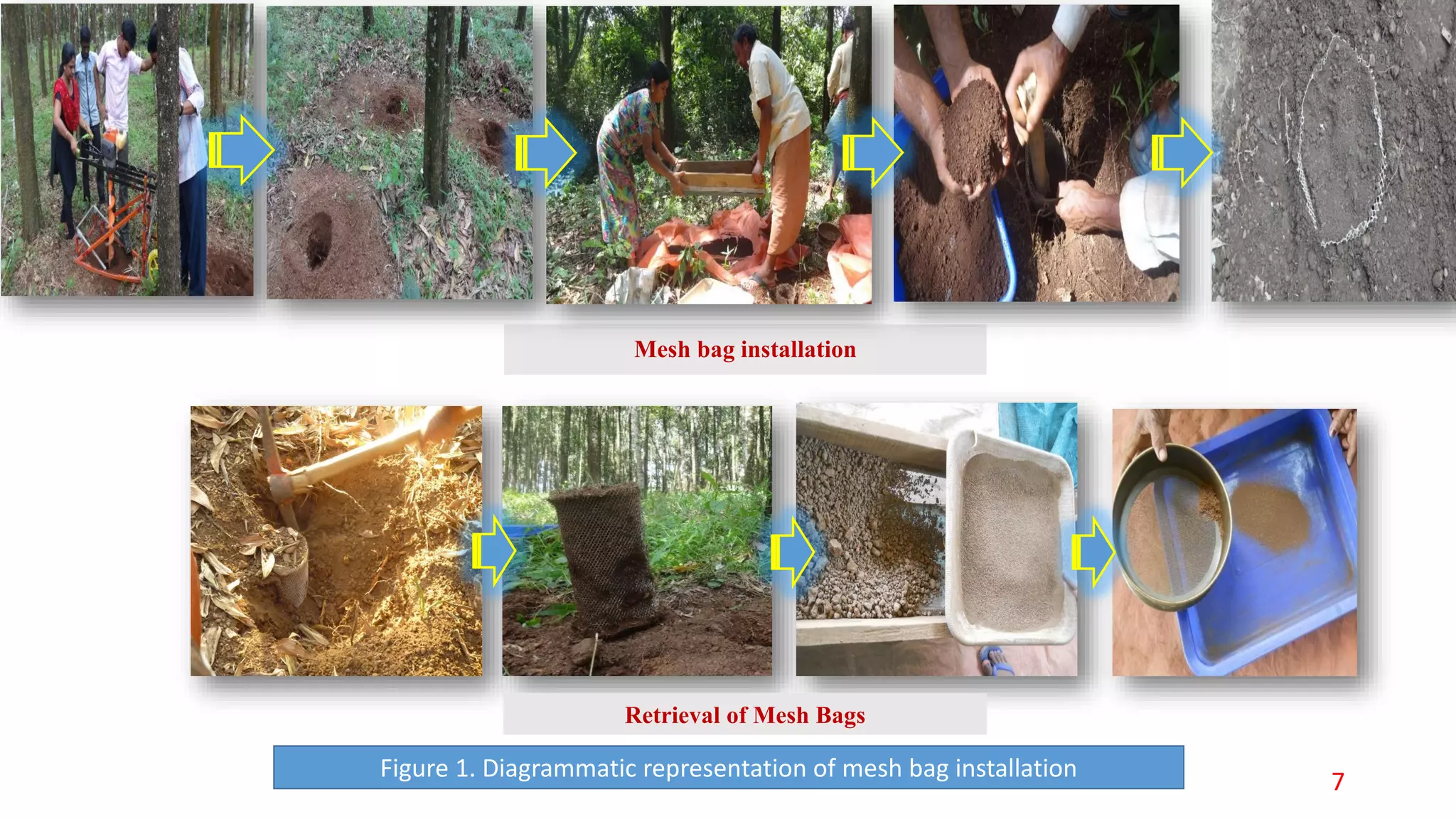 Mesh bag installation
Retrieval of Mesh Bags
Figure 1. Diagrammatic representation of mesh bag installation 7
 