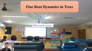 1
Fine Root Dynamics in Trees
Vikas Kumar
2013-27-102
Dept. of Silviculture & Agroforestry
College of Forestry, KAU, Thrissur
Mo. No.: 9995093698
Email ID: vkskumar49@gmail.com
PhD second seminar
 