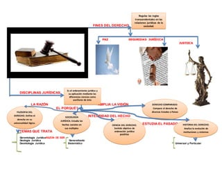 FINES DEL DERECHO
PAZ SEGURIDAD JURÍDICA
JUSTIICA
DISCIPLINAS JURÍDICAS
LA RAZÓN AMPLIA LA VISIÓN
EL PORQUÉ?
INTEGRIDAD DEL HECHO
ESTUDIA EL PASADO
TEMAS QUE TRATA
Gerontología JurídicaRAZON DE SER
Geología Jurídica Generalizado
Deontología Jurídica Sistemático Universal y Particular
Regulas las reglas
transcendentales en las
relaciones jurídicas de la
sociedad.
Es el ordenamiento jurídico y
su aplicación mediante las
diferencias ciencias como
auxiliares de éste.
FILOSOFIA DEL
DERECHO. Define el
derecho en su
universalidad lógica.
SOCIOLOGÍA
JURÍDICA. Estudia los
hechos sociales en
sus múltiples
manifestaciones
CIENCIA DEL DERECHO.
Sentido objetivo de
ordenación jurídica
positiva
DERECHO COMPARADO.
Compara el derecho de
diversos Estados o Países
HISTORIA DEL DERECHO.
Analiza la evolución de
instituciones y sistemas
 