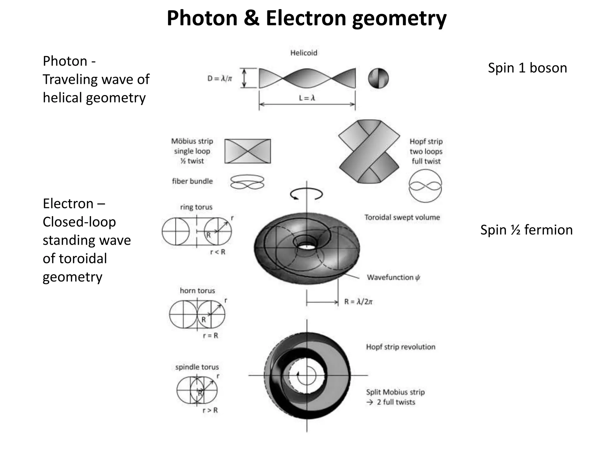 Photon & Electron geometry
Photon -
Traveling wave of
helical geometry
Electron –
Closed-loop
standing wave
of toroidal
geometry
Spin 1 boson
Spin ½ fermion
 