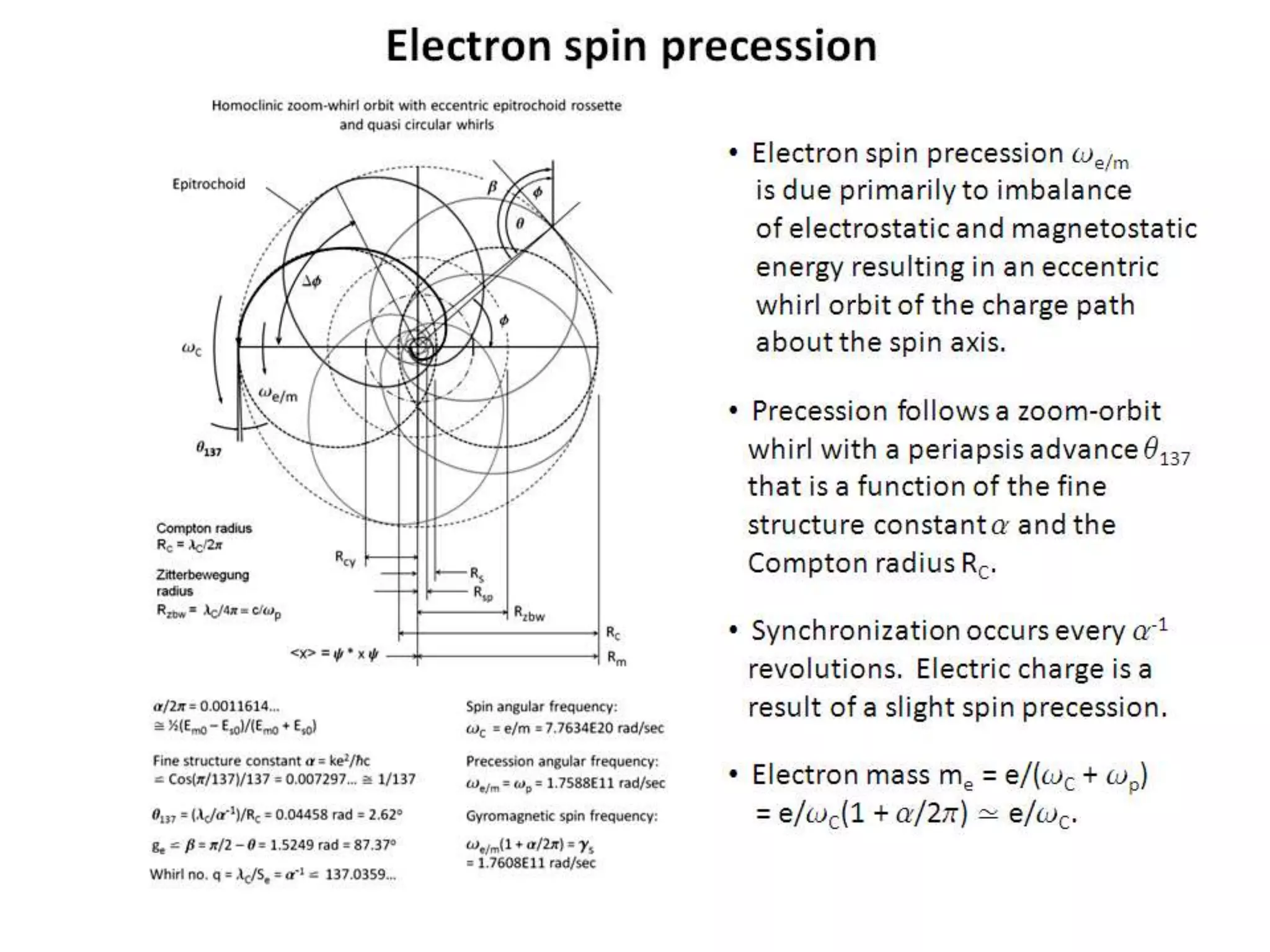 Electron spin precession
• Electron spin precession we/m
is due primarily to imbalance
of electrostatic and magnetostatic
energy resulting in an eccentric
whirl orbit of the charge path
about the spin axis.
• Precession follows a zoom-orbit
whirl with a periapsis advance q137
that is a function of the fine
structure constant a and the
Compton radius RC.
• Synchronization occurs every a-1
revolutions. Electric charge is a
result of a slight spin precession.
• Electron mass me = e/(wC + wp)
= e/wC(1 + a/2p) ≃ e/wC.
 