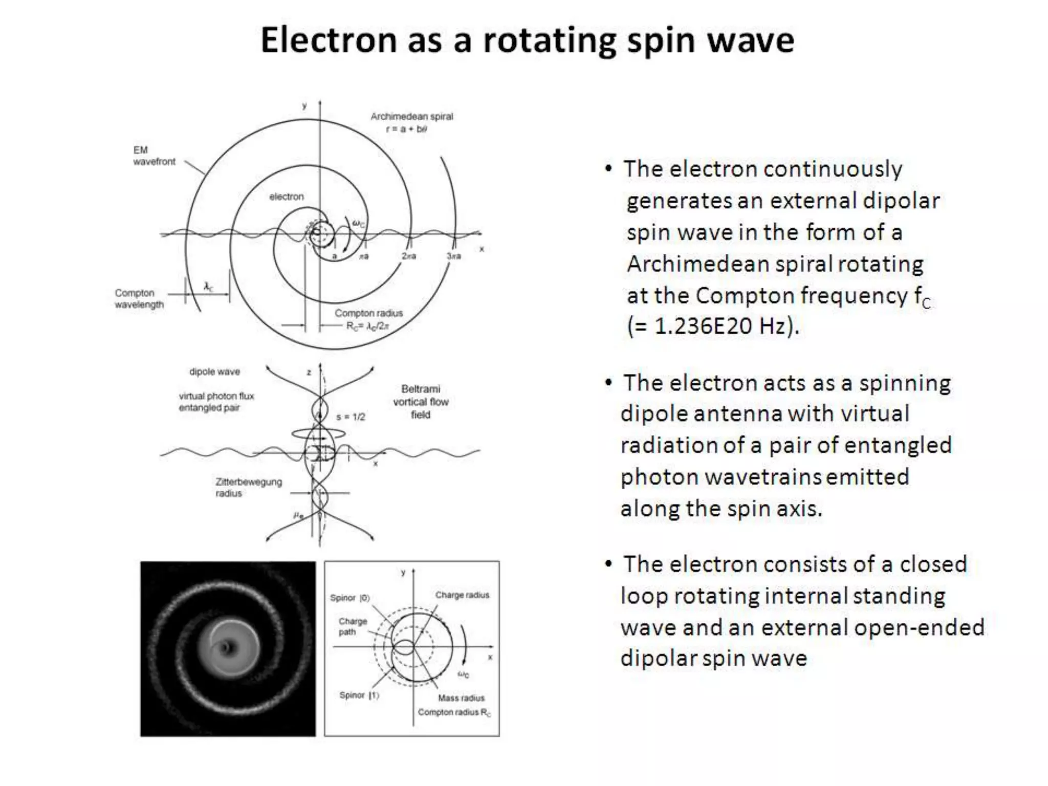 Electron as a rotating spin wave
• The electron continuously
generates an external dipolar
spin wave in the form of a
Archimedean spiral rotating
at the Compton frequency fC
(= 1.236E20 Hz).
• The electron acts as a spinning
dipole antenna with virtual
radiation of a pair of entangled
photon wavetrains emitted
along the spin axis.
• The electron consists of a closed
loop rotating internal standing
wave and an external open-ended
dipolar spin wave
 