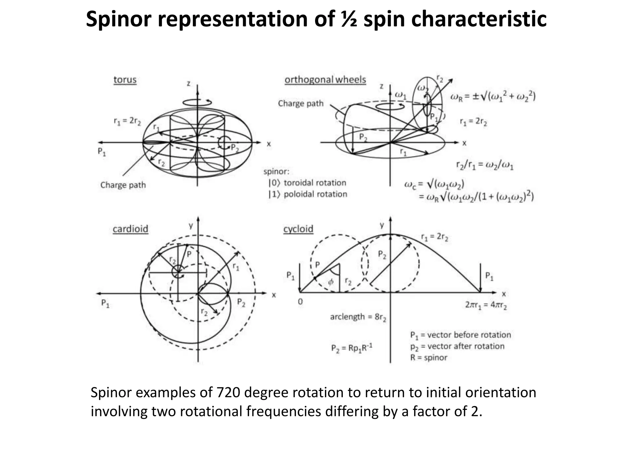 Spinor representation of ½ spin characteristic
Spinor examples of 720 degree rotation to return to initial orientation
involving two rotational frequencies differing by a factor of 2.
 