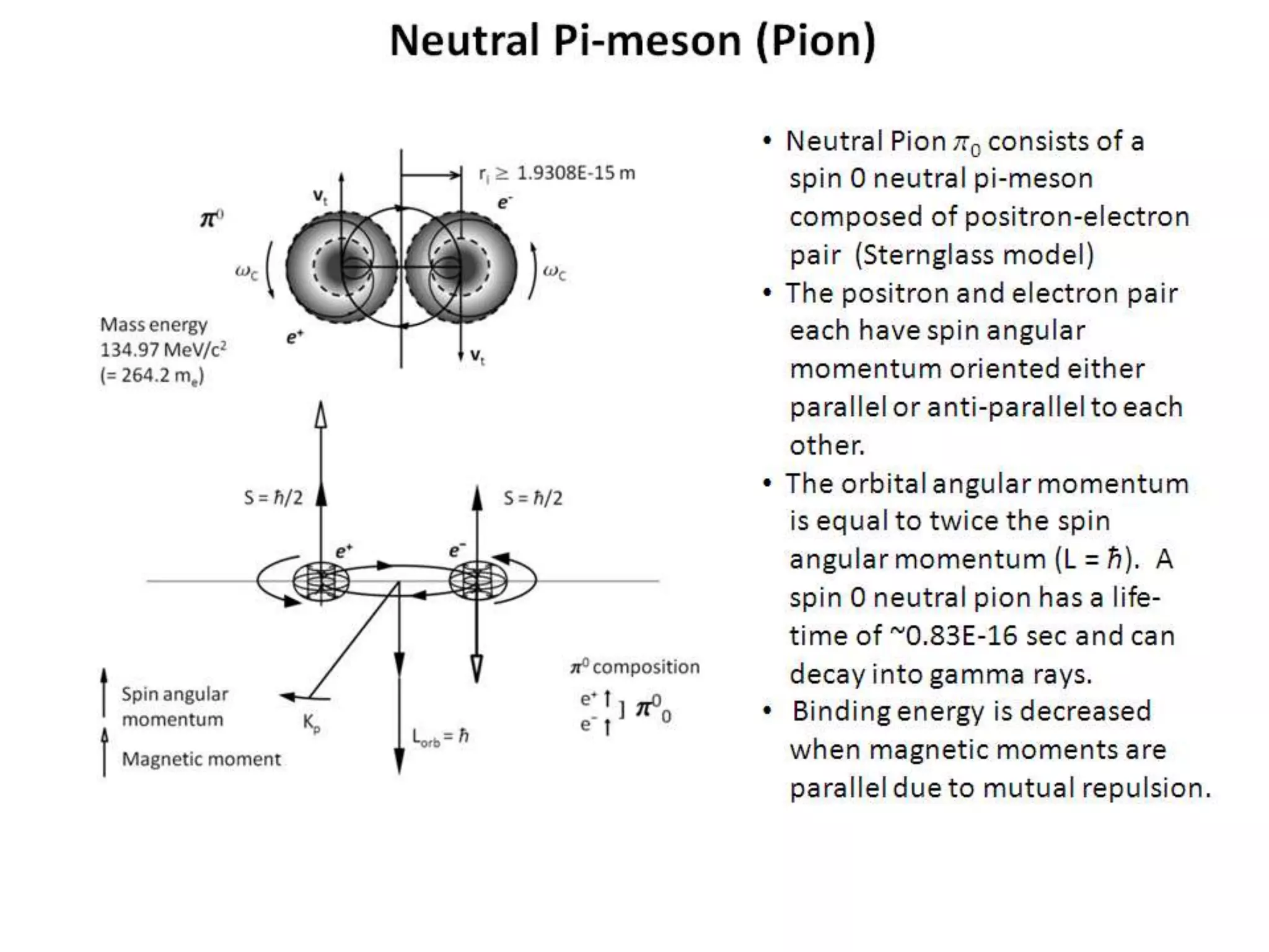 Neutral Pi-meson (Pion)
• Neutral Pion p0 consists of a
spin 0 neutral pi-meson
composed of positron-electron
pair (Sternglass model)
• The positron and electron pair
each have spin angular
momentum oriented either
parallel or anti-parallel to each
other.
• The orbital angular momentum
is equal to twice the spin
angular momentum (L = ħ). A
spin 0 neutral pion has a life-
time of ~0.83E-16 sec and can
decay into gamma rays.
• Binding energy is decreased
when magnetic moments are
parallel due to mutual repulsion.
 