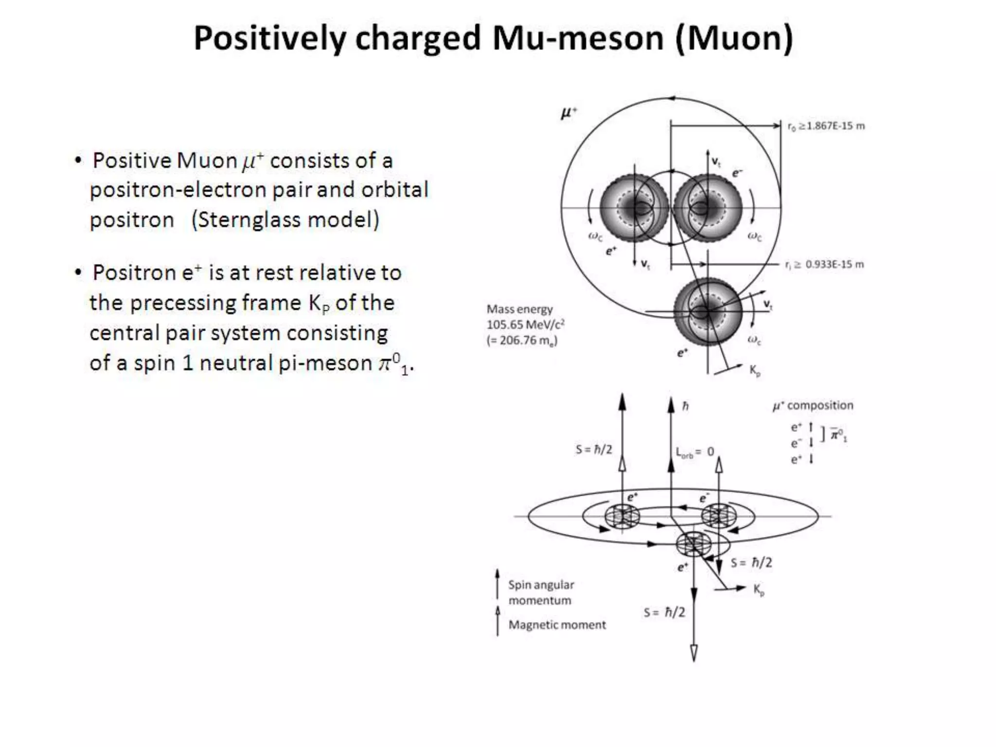 Positively charged Mu-meson (Muon)
• Positive Muon m+ consists of a
positron-electron pair and orbital
positron (Sternglass model)
• Positron e+ is at rest relative to
the precessing frame KP of the
central pair system consisting
of a spin 1 neutral pi-meson p0
1.
 