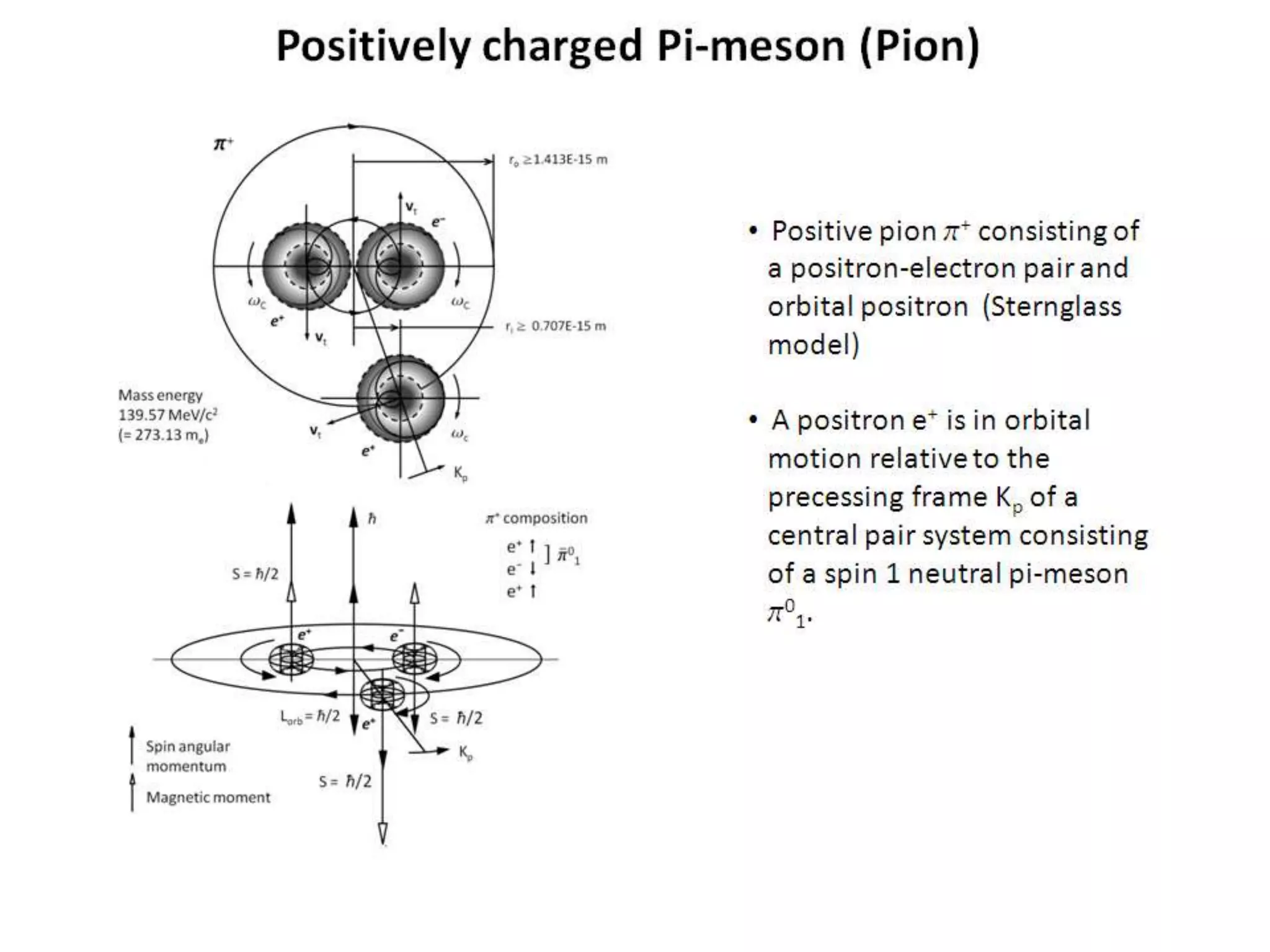 Positively charged Pi-meson (Pion)
• Positive pion p+ consisting of
a positron-electron pair and
orbital positron (Sternglass
model)
• A positron e+ is in orbital
motion relative to the
precessing frame Kp of a
central pair system consisting
of a spin 1 neutral pi-meson
p0
1.
 