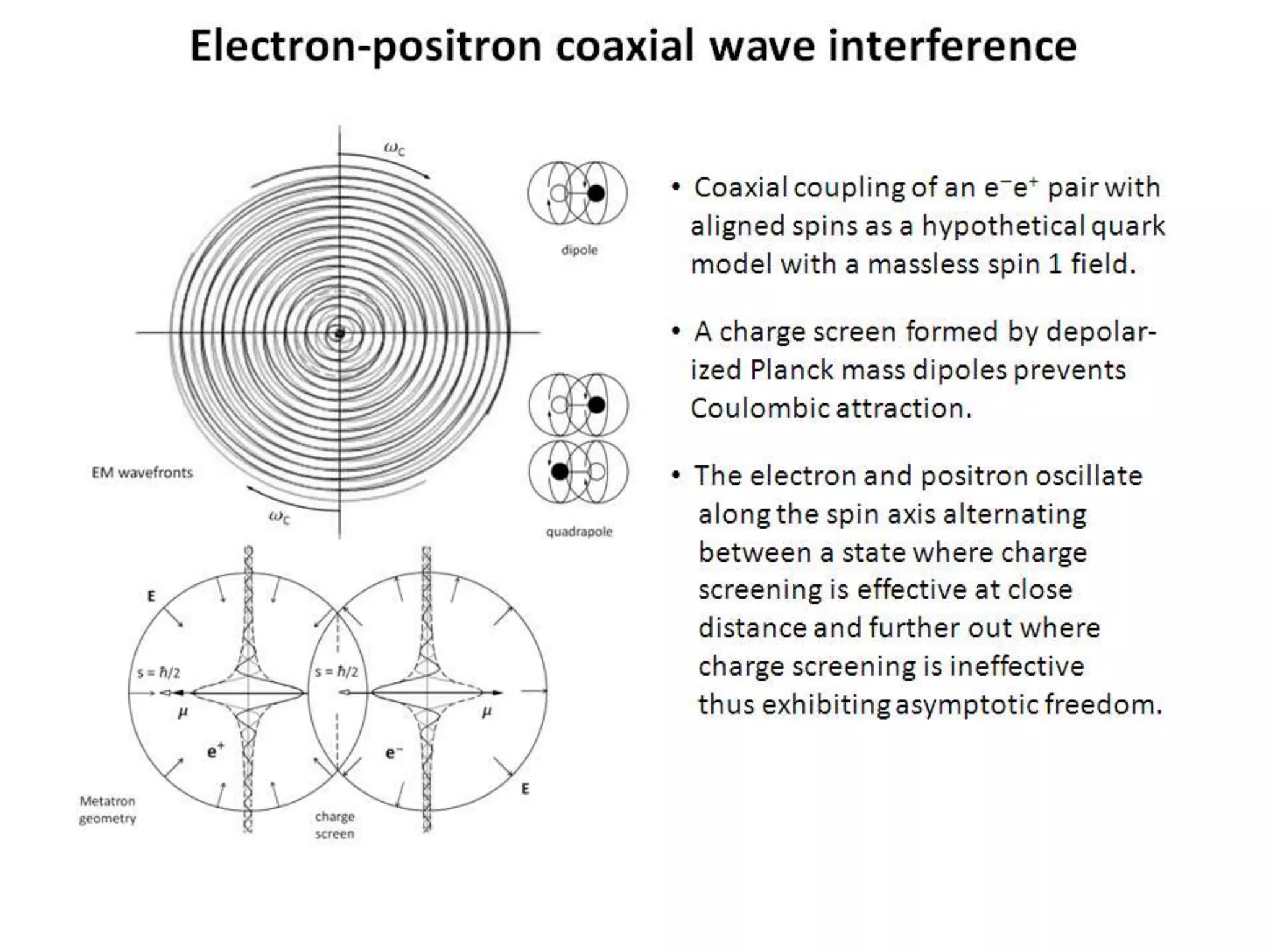 Electron-positron coaxial wave interference
• Coaxial coupling of an e-e+ pair with
aligned spins as a hypothetical quark
model with a massless spin 1 field.
• A charge screen formed by depolar-
ized Planck mass dipoles prevents
Coulombic attraction.
• The electron and positron oscillate
along the spin axis alternating
between a state where charge
screening is effective at close
distance and further out where
charge screening is ineffective
thus exhibiting asymptotic freedom.
 