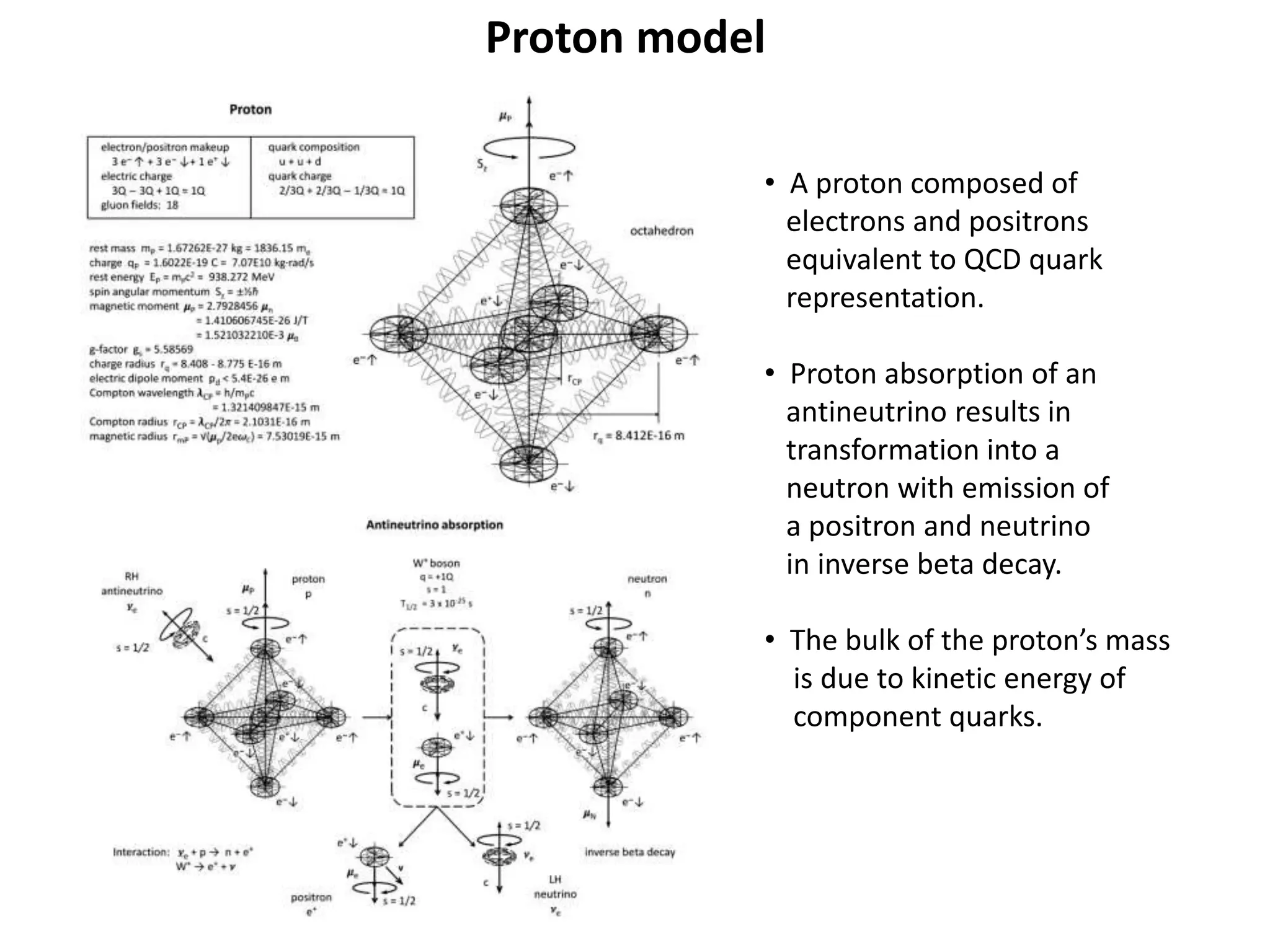 Proton model
• A proton composed of
electrons and positrons
equivalent to QCD quark
representation.
• Proton absorption of an
antineutrino results in
transformation into a
neutron with emission of
a positron and neutrino
in inverse beta decay.
• The bulk of the proton’s mass
is due to kinetic energy of
component quarks.
 