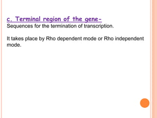 c. Terminal region of the gene-
Sequences for the termination of transcription.
It takes place by Rho dependent mode or Rho independent
mode.
 