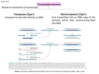 Fine structure of Gene (structure and Regions of gene), chromosomal ...