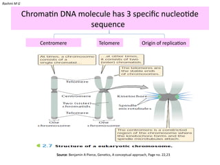 Fine structure of Gene (structure and Regions of gene), chromosomal ...
