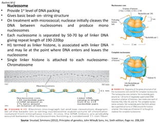 Fine structure of Gene (structure and Regions of gene), chromosomal ...