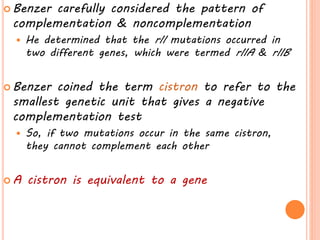 Fine structureof gene,allelic complementation,and split gene | PPTX