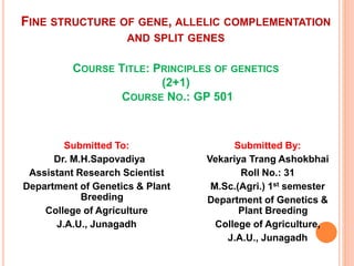 FINE STRUCTURE OF GENE, ALLELIC COMPLEMENTATION
AND SPLIT GENES
COURSE TITLE: PRINCIPLES OF GENETICS
(2+1)
COURSE NO.: GP 501
Submitted To:
Dr. M.H.Sapovadiya
Assistant Research Scientist
Department of Genetics & Plant
Breeding
College of Agriculture
J.A.U., Junagadh
Submitted By:
Vekariya Trang Ashokbhai
Roll No.: 31
M.Sc.(Agri.) 1st semester
Department of Genetics &
Plant Breeding
College of Agriculture,
J.A.U., Junagadh
 
