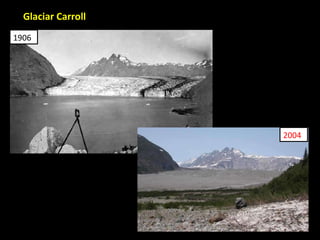 Glaciar Carroll 1906 2004 