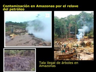 Contaminación en Amazonas por el relave del petróleo Tala ilegal de árboles en Amazonas 