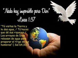 "El que madruga... encuentra todo cerrado" “ Tú visitas la Tierra y le das agua, / Tú haces que dé sus riquezas./ Los arroyos de Dios rebosan de agua para preparar el trigo de los hombres” ( Sal 64,10). 