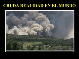 CRUDA REALIDAD EN EL MUNDO 