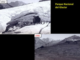 1932 1998 Parque Nacional del Glaciar 